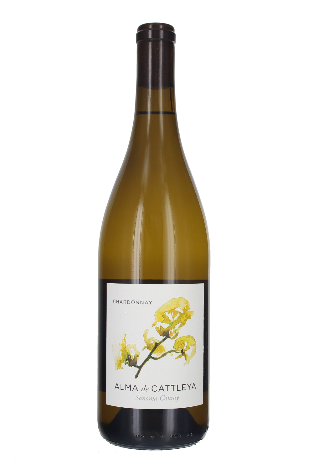 2023 Chardonnay, Alma de Cattleya