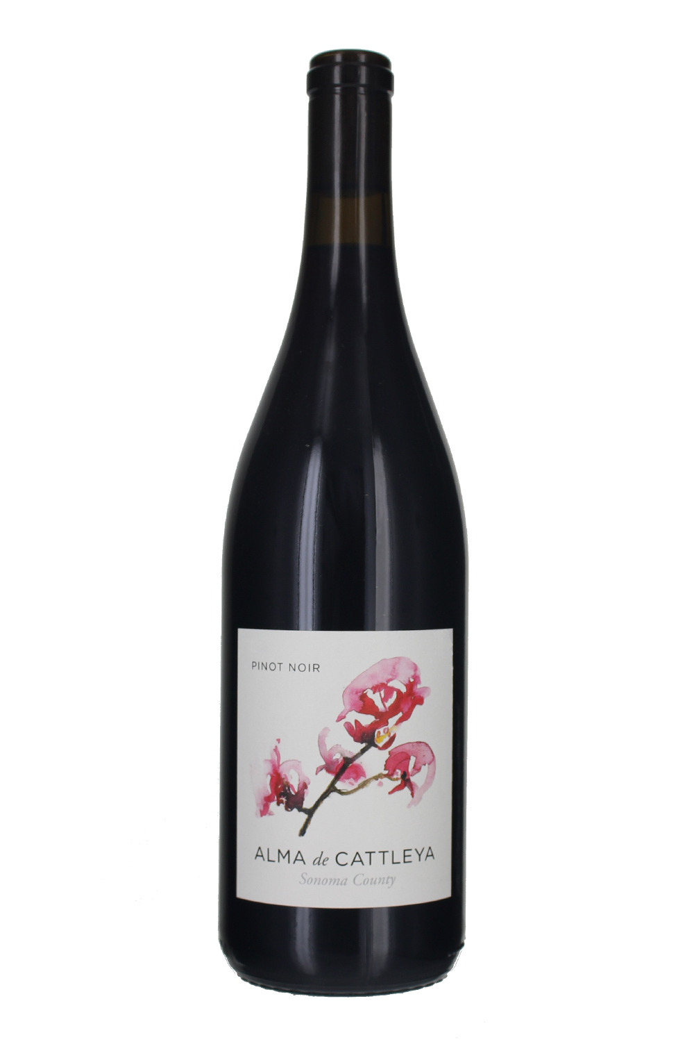 2022 Pinot Noir, Alma de Cattleya