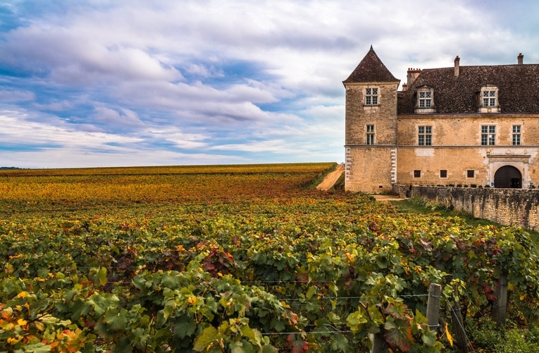 Regional Tasting Note Image